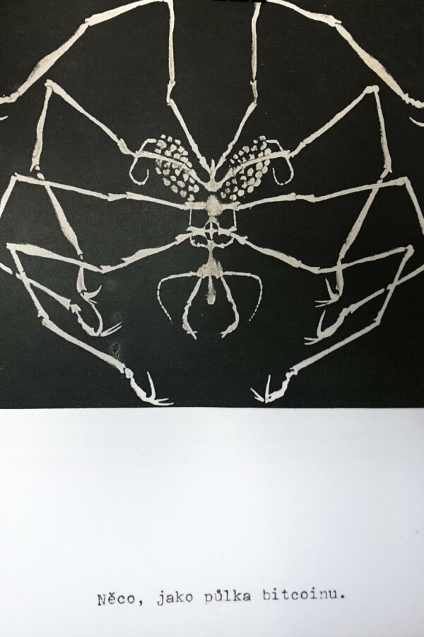 Ondřej Homola, Něco jako půlka bitcoinu, vyvolávací cena 1 200,-